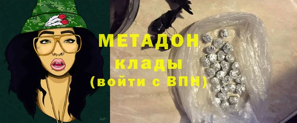 прущие грибы Богданович