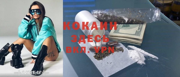 прущие грибы Богданович