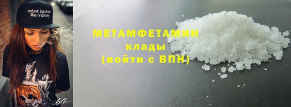 прущие грибы Богданович