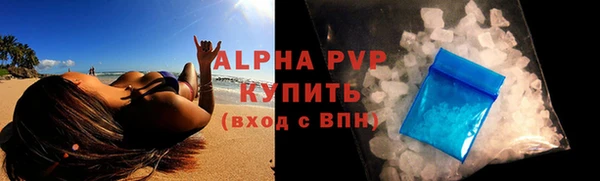 прущие грибы Богданович