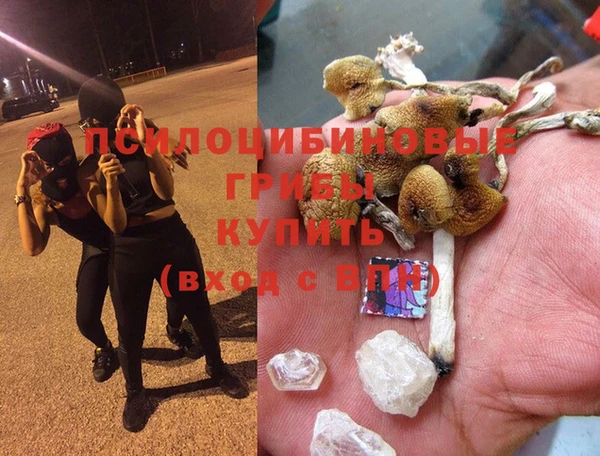 кокаин Белокуриха