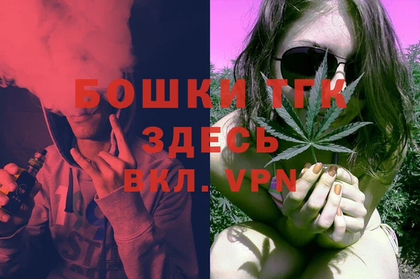 прущие грибы Богданович
