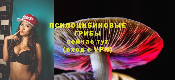 прущие грибы Богданович