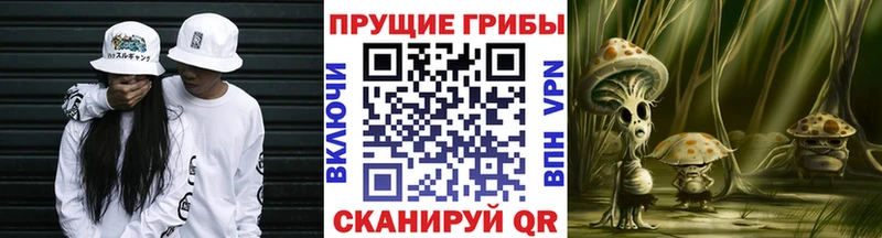 Галлюциногенные грибы ЛСД  kraken   Кологрив 